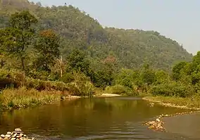 A river flowing through a forested mountain landscape.