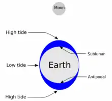 Diagram showing how the sun and moon cause tides