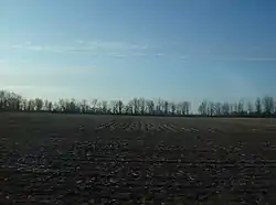 Farmland in Tipton Township