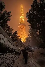 The Tokyo Tower during a snowfall in 2018