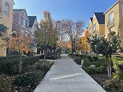 Townhouses near Agnew Road