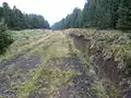 Tracks of old railway, Coalburn