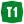 T1