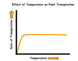 The effect of temperature on the transpiration rate of plants.