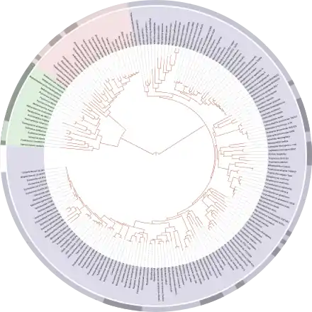 Alignments, phylogeny and evolution