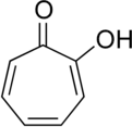 Tropolone – composed of cycloheptatriene ring, carbonyl and hydroxy groups.