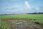 Bowl barrow 100 m north east of Home Farm Cottage