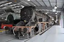 A recently repatriated 8F from Turkey, 2011