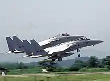 Two pale-gray jet aircraft taking off side-by side towards right of camera