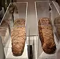 Two mummy coffins with their mummy portraits of two daughters of Aline