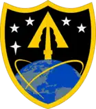 Shoulder Sleeve Insignia