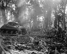 Infantry advance cautiously through the jungle alongside tanks