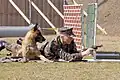 A Navy Master-at-arms fires blank ammunition to condition his dog to the sound