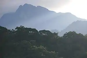 Cloudy scene of forest and a mountain in the background