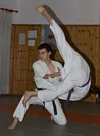 Judoka demonstrate Uki otoshi in Kata form