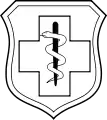 Enlisted Medical Badge