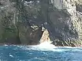 Unnamed stack beneath Boreray