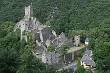 Ruins of the Niederburg