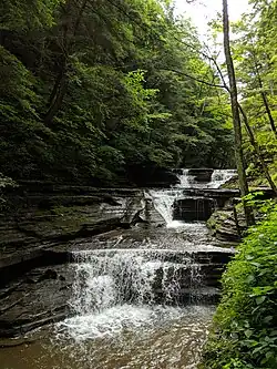 Falls in the Upper Gorge