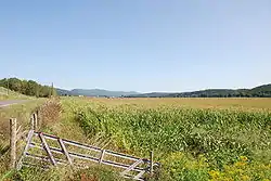 Corn fields with Upper Tract in the back