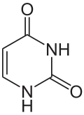 Structural formula of uracil