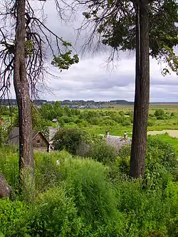 Floodplain of the Usta River, Urensky District