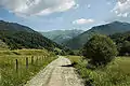 Maramureș Mountains Natural Park