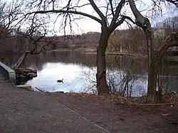 View of the lake and golf course