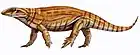 Varanodon agilis