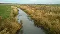 The Egå stream, just before it empties into the meadow-lake of Egå Engsø.