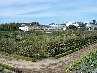 Student gardens