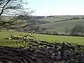 The view from Trevivian across the Inny valley towards Treglasta