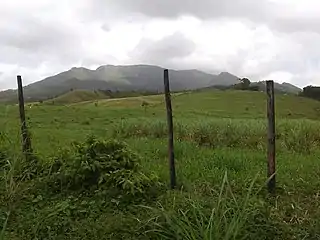 View of El Yunque from PR-984 in Naranjo