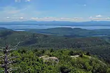 A wide landscape with a withered tree at the lower left, seen from a high point. Wooded mountains gradually decline to a wide body of water, across which another mountain range can be seen in the distance