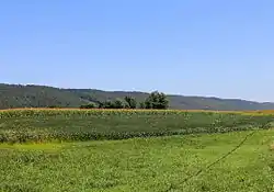 View of Little Mahanoy Township