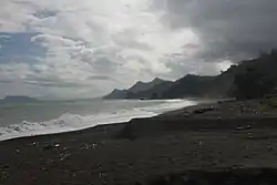 View of the forested coast of Dinapigue