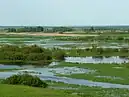 Biebrza National Park