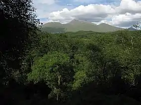 View over Glen Nant Looking towards Ben Cruachan