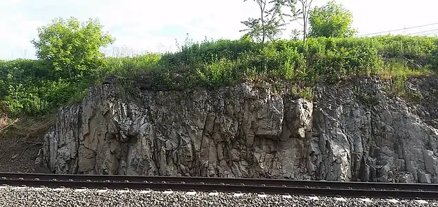 Photo of the type section in 2019.  The Kinzers Formation overlying the dolomite is about a meter thick in this photo.