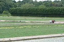 Vitacress watercress beds in St Mary Bourne