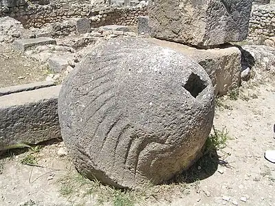 Giant olive wheel - Volubilis