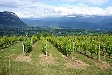 La Cluse de Chambéry and la Combe de Savoie seen from Apremont