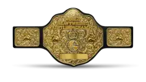 A professional wrestling championship belt with a roughly circular golden front plate