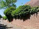 Garden walls to north of Frognal House