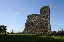 Remains of Queen's Tower, Wallingford Castle