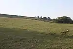 Part of the linear boundary known as the Wansdyke: section E of Maes Knoll camp