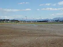 Washdyke Lagoon is home to many different bird species that congregate in large numbers around the lagoon.