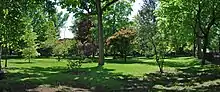 A grassy area with tall trees leaving shadows from the sun above. In the distance are small rowhouses, and a street is at the right.