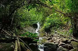 Waterfall in Mount Belumut