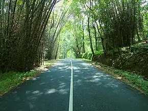 Way to Vazhachal From Athirappilly.JPG